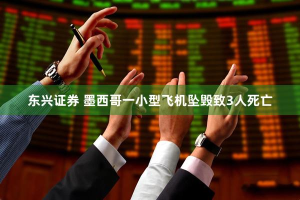 东兴证券 墨西哥一小型飞机坠毁致3人死亡