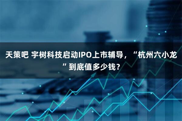 天策吧 宇树科技启动IPO上市辅导，“杭州六小龙”到底值多少钱？
